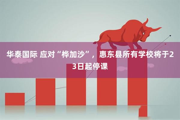 华泰国际 应对“桦加沙”，惠东县所有学校将于23日起停课