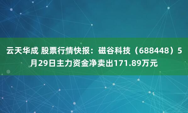 云天华成 股票行情快报：磁谷科技（688448）5月29日主力资金净卖出171.89万元