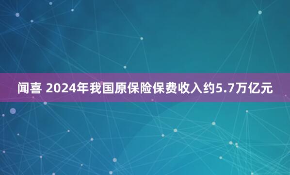 闻喜 2024年我国原保险保费收入约5.7万亿元