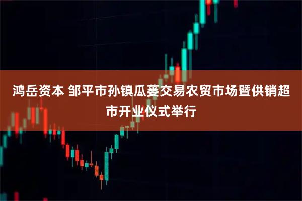 鸿岳资本 邹平市孙镇瓜蒌交易农贸市场暨供销超市开业仪式举行