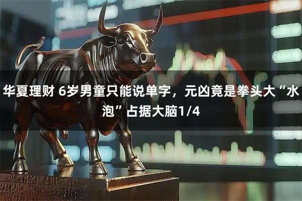 华夏理财 6岁男童只能说单字，元凶竟是拳头大“水泡”占据大脑1/4